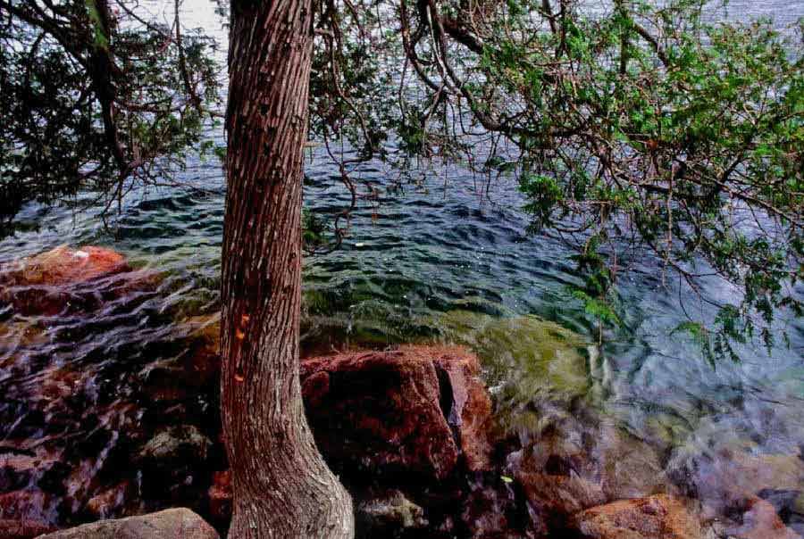 Jordan Pond