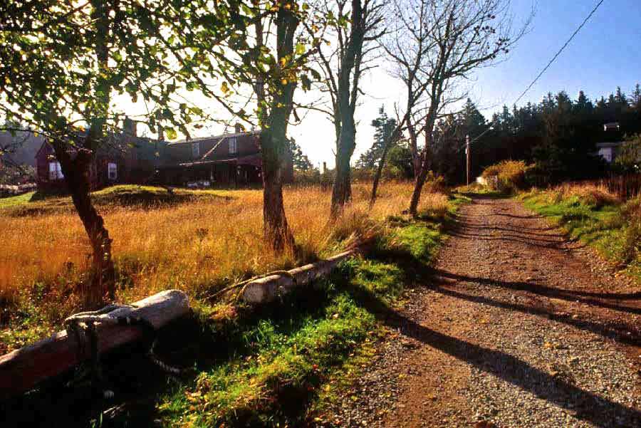 Lobster Cove Road